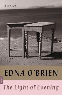 Book Cover for The Light of Evening by Edna O'Brien