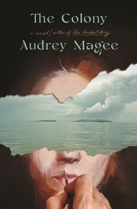 Book Cover for The Colony by Audrey Magee