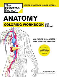 Book Cover for Anatomy Coloring Workbook by I Edward Alcamo