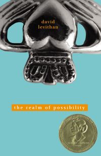 Book Cover for The Realm of Possibility by David Levithan