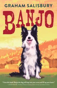 Book Cover for Banjo by Graham Salisbury