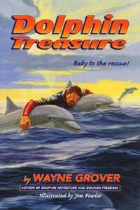 Book Cover for Dolphin Treasure by Wayne Grover