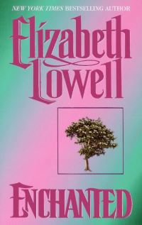 Book Cover for Enchanted by Elizabeth Lowell, Copyright Paperback Collection Library of Congress
