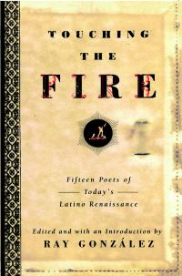 Book Cover for Touching the Fire by Ray González