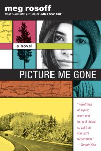 Book Cover for Picture Me Gone by Meg Rosoff
