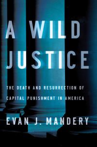 Book Cover for A Wild Justice by Evan J Mandery