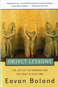 Book Cover for Object Lessons by Eavan Boland