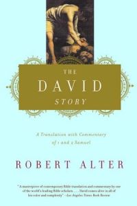Book Cover for The David Story by Robert Alter