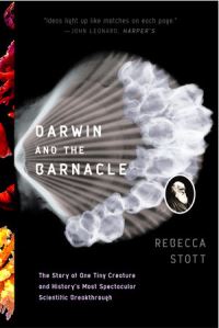 Book Cover for Darwin and the Barnacle by Rebecca Stott