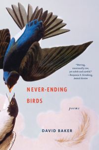 Book Cover for Never-Ending Birds by David Baker