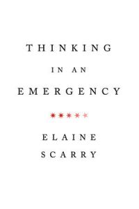 Book Cover for Thinking in an Emergency by Elaine Scarry