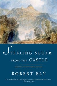 Book Cover for Stealing Sugar from the Castle by Robert Bly