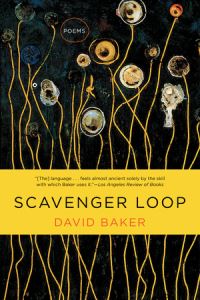 Book Cover for Scavenger Loop by David Baker