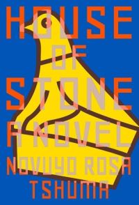 Book Cover for House of Stone by Novuyo Rosa Tshuma