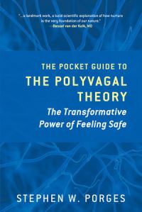 Book Cover for The Pocket Guide to the Polyvagal Theory by Stephen W Porges