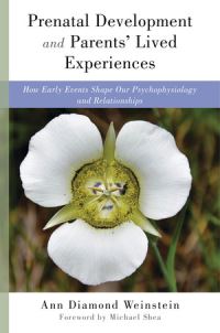 Book Cover for Prenatal Development and Parents' Lived Experiences by Ann Diamond Weinstein