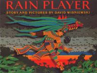 Book Cover for Rain Player by David Wisniewski