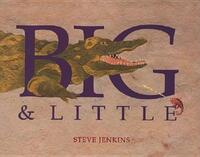 Book Cover for Big & Little by Steve Jenkins