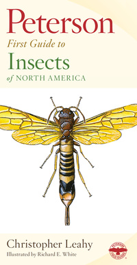 Book Cover for Insects by 