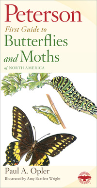Book Cover for Butterflies by Roger Tory Peterson,  Amy Bartlett Wright