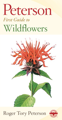 Book Cover for Wildflowers by 