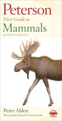 Book Cover for Mammals by 