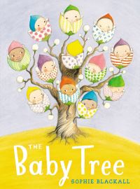 Book Cover for The Baby Tree by Sophie Blackall