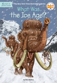 Book Cover for What Was the Ice Age? by Nico Medina