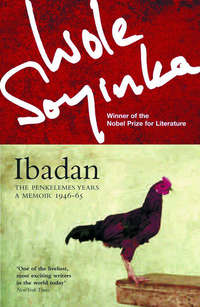 Book Cover for Ibadan by Wole Soyinka