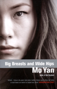 Book Cover for Big Breasts and Wide Hips by Yan Mo