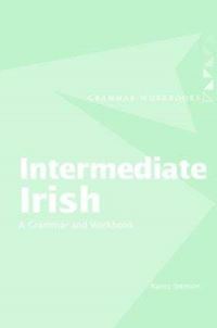 Book Cover for Intermediate Irish by Nancy Stenson