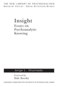 Book Cover for Insight by Jorge L Ahumada