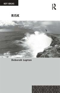 Book Cover for Risk by Deborah Lupton