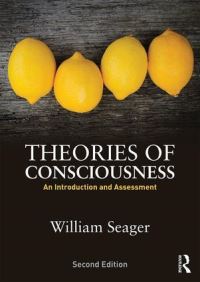 Book Cover for Theories of Consciousness by William Seager