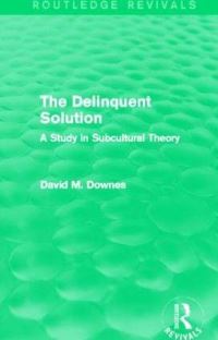 Book Cover for The Delinquent Solution by David M Downes