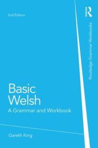 Book Cover for Basic Welsh by Gareth King