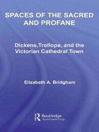 Book Cover for Spaces of the Sacred and Profane by Elizabeth A Bridgham