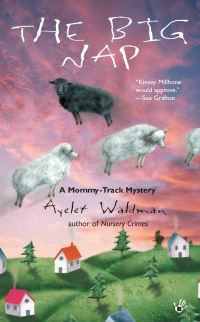 Book Cover for The Big Nap by Ayelet Waldman