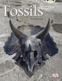 Book Cover for Bug Club Guided Non Fiction Year Two Gold A Fossils by Jill McDougall