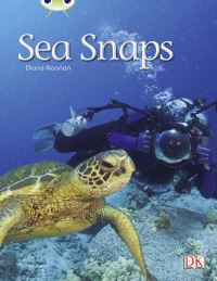 Book Cover for Bug Club Independent Non Fiction Year 1 Green A Sea Snaps by Diana Noonan