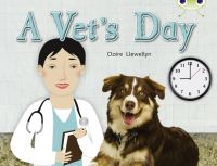 Book Cover for Bug Club Guided Non Fiction Year 1 Green B A Vet's Day by Claire Llewellyn