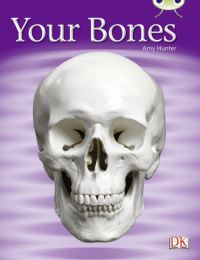 Book Cover for Your Bones by Amy Hunter