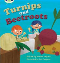 Book Cover for Bug Club Phonics - Phase 3 Unit 10 by Monica Hughes