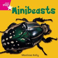 Book Cover for Minibeasts by 