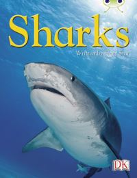 Book Cover for BC NF Blue (KS2) B/4A Sharks by Fleur Star