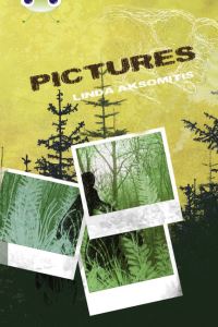 Book Cover for Pictures by Linda Aksomitis
