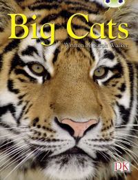 Book Cover for BC NF Brown B/3B Big Cats by Sarah Walker