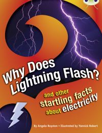 Book Cover for Why Does Lightning Flash? by Angela Royston, Yannick Robert