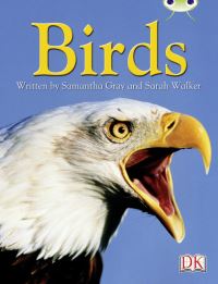 Book Cover for BC NF Grey B/4C Birds by Samantha Gray, Sarah Walker