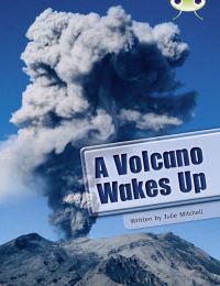Book Cover for A Volcano Wakes Up by Julie Mitchell